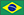 brasileiro